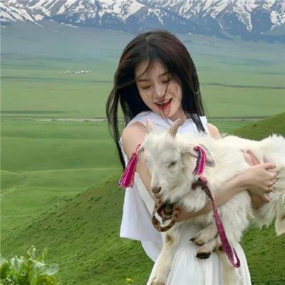 捣蛋的公鸡
